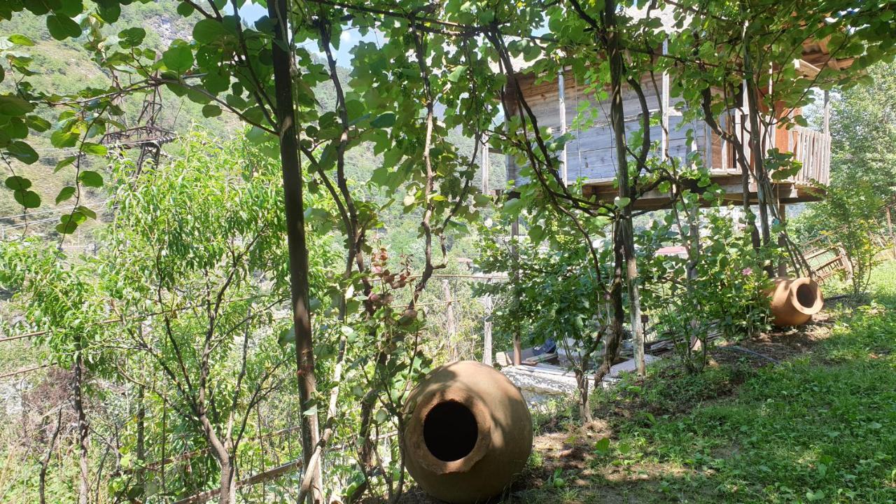 Guest House Okropilauri Shuakhevi Dış mekan fotoğraf