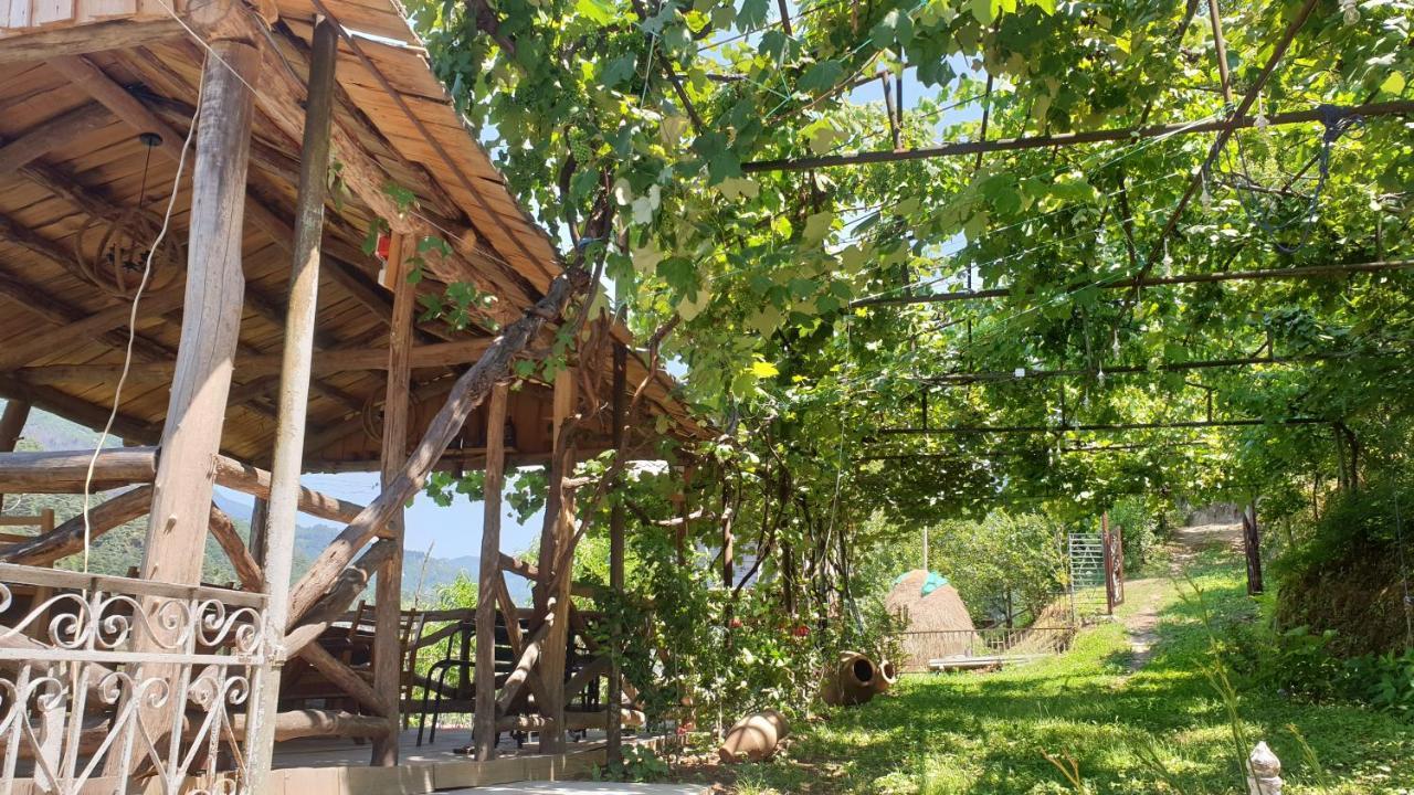 Guest House Okropilauri Shuakhevi Dış mekan fotoğraf