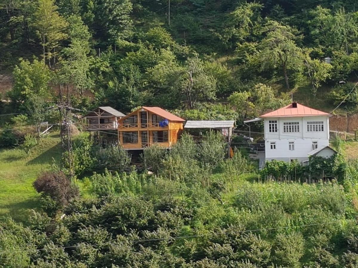 Guest House Okropilauri Shuakhevi Dış mekan fotoğraf