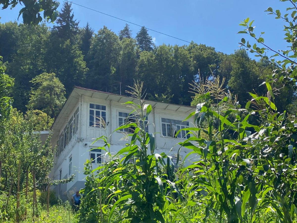 Guest House Okropilauri Shuakhevi Dış mekan fotoğraf