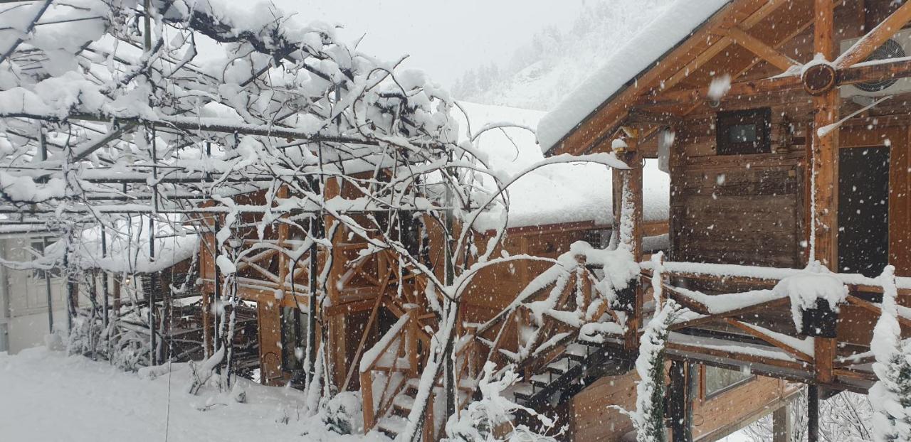 Guest House Okropilauri Shuakhevi Dış mekan fotoğraf
