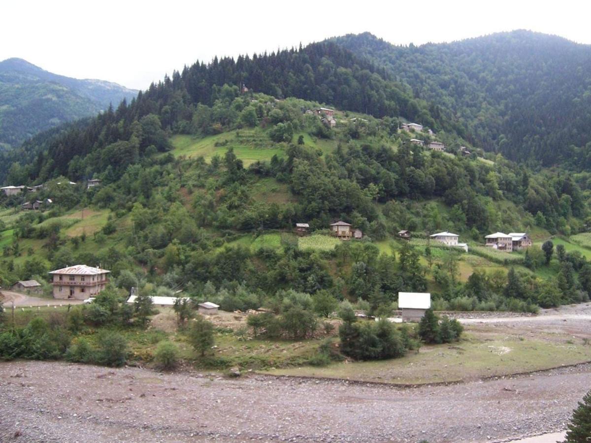 Guest House Okropilauri Shuakhevi Dış mekan fotoğraf
